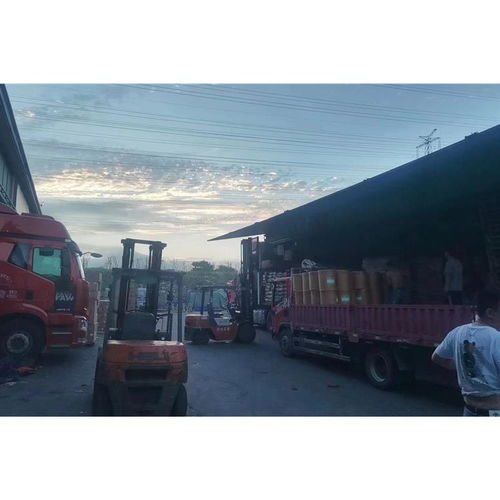 清远到荷兰国际货代专线 高效连接中国制造与欧洲市场的货运桥梁
